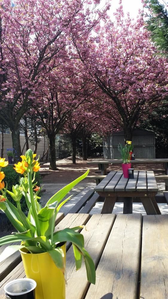 Premiere Classe Montreuil Montreuil  Ngoại thất bức ảnh The courtyard at the school